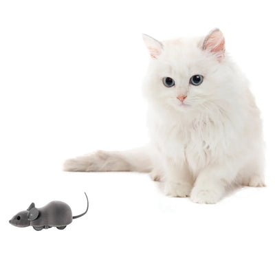 Motion Mouse Cat Toy
