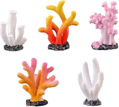 Decorative Coral Aquariums