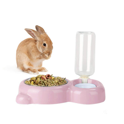 Combo Pet Feeding Bowl