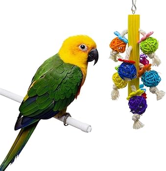 Parrot Perching Station Platform