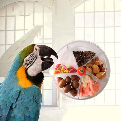 Food Box for Parrot