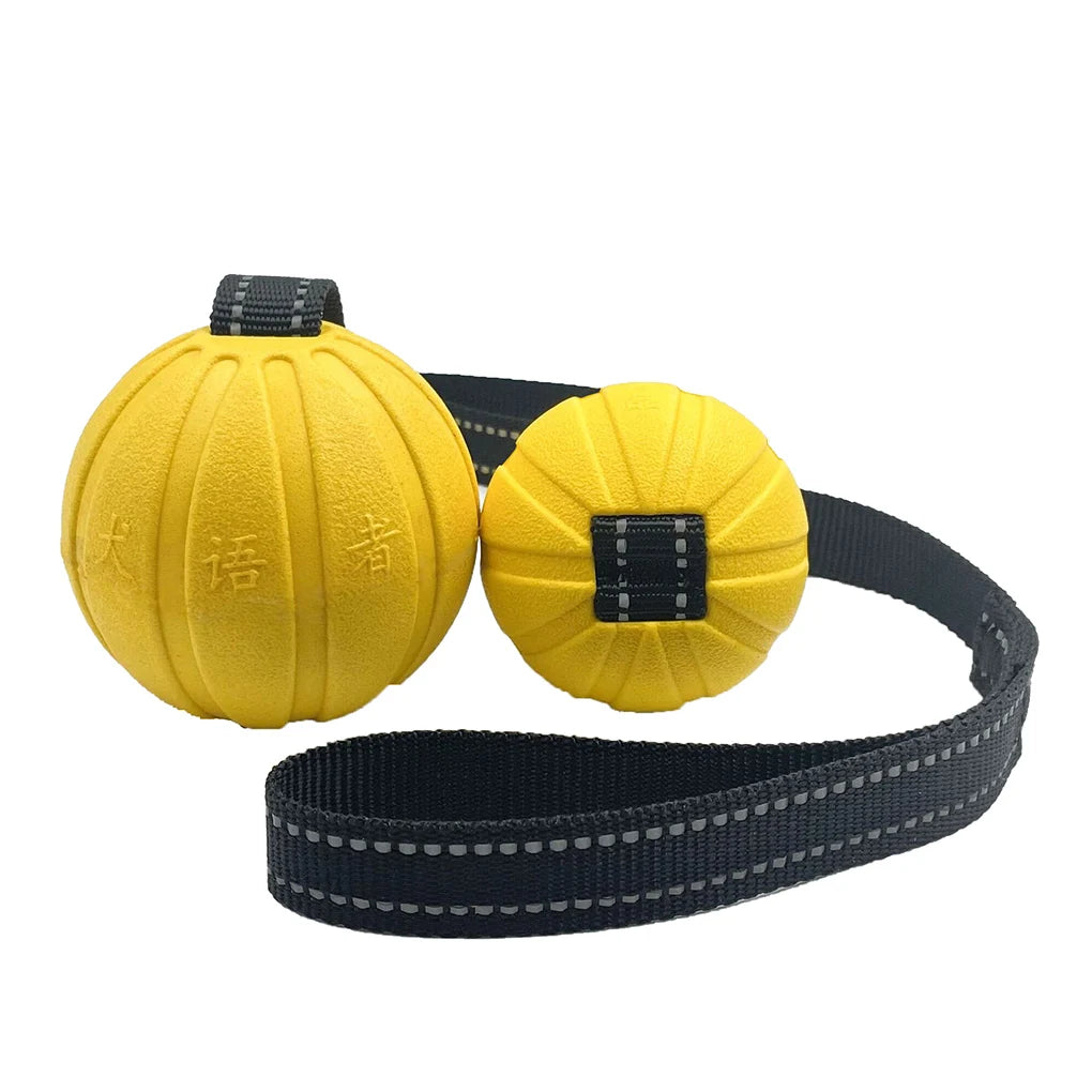 Dog Toy Balls On a Rope