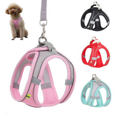 Adjustable dog harness leash