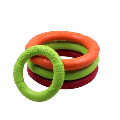 Pet Flying Disc Training Ring