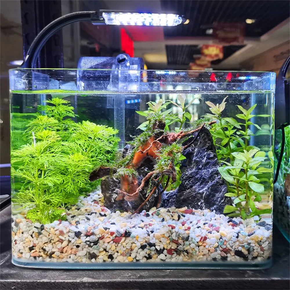 Natural Crystals Gravel Stone