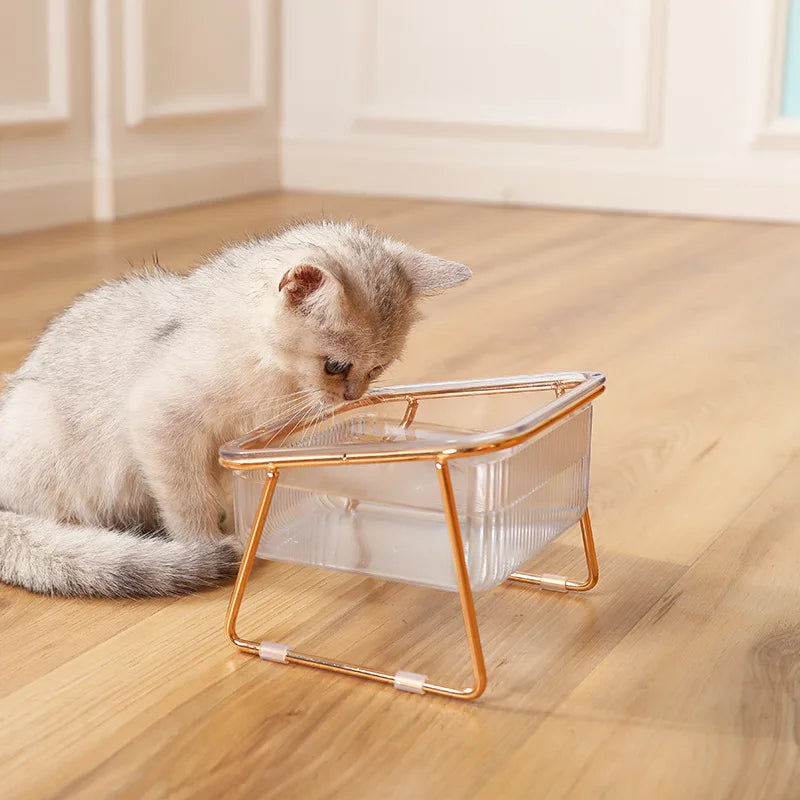 Cat Transparent Design bowl