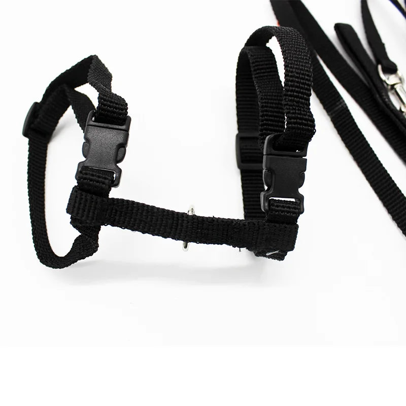 Cozy Cat Adjustable Collar
