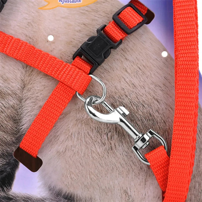 Cozy Cat Adjustable Collar