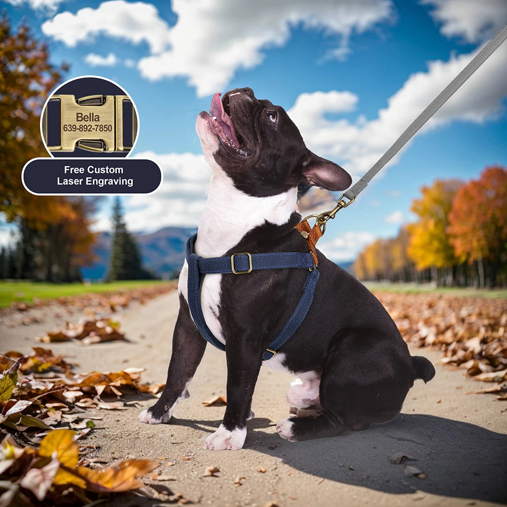 Vivid Paws Custom Harness