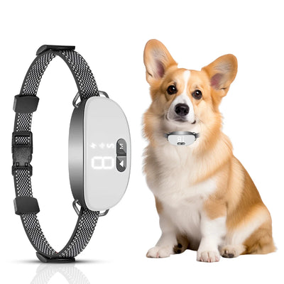 Adjustable Dog Collar