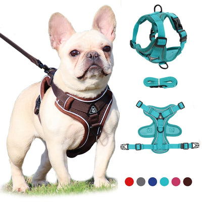 Anti-Pull Harness & Leash