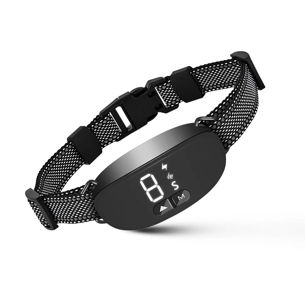 Adjustable Dog Collar