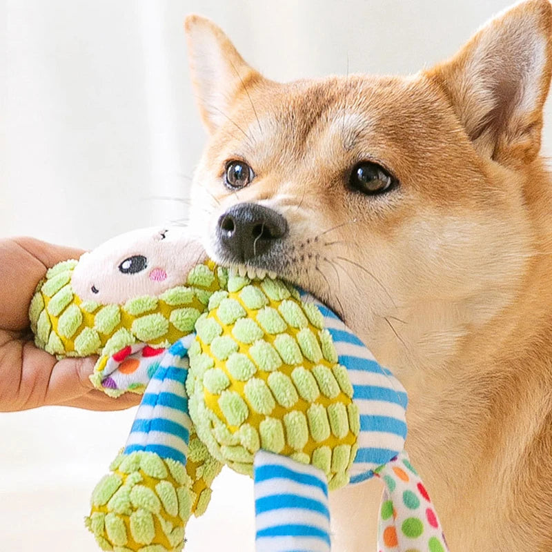 Plush Squeaky Toy