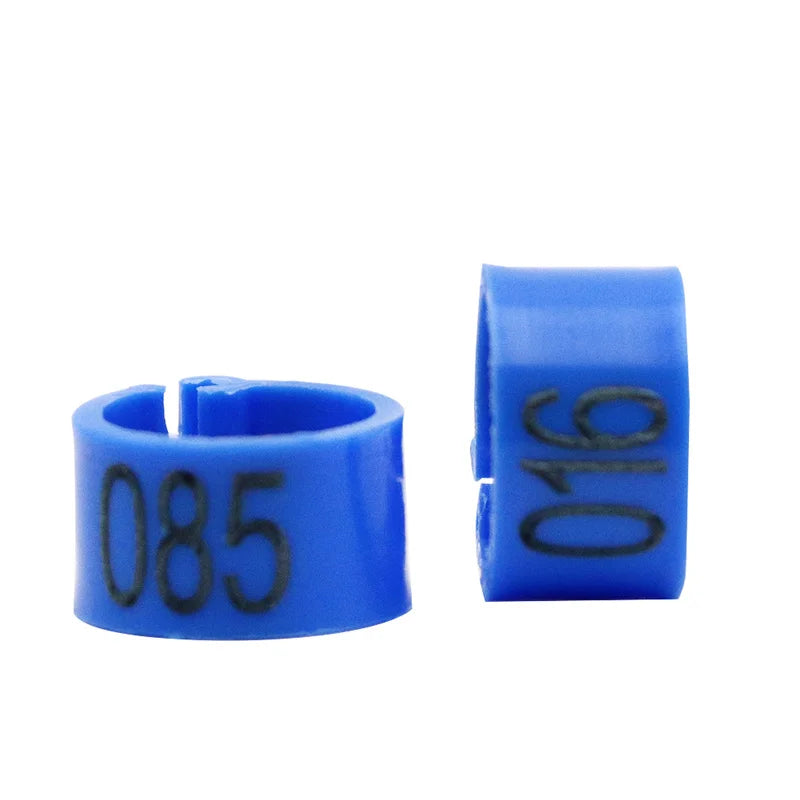 Colorful Foot Rings with Text