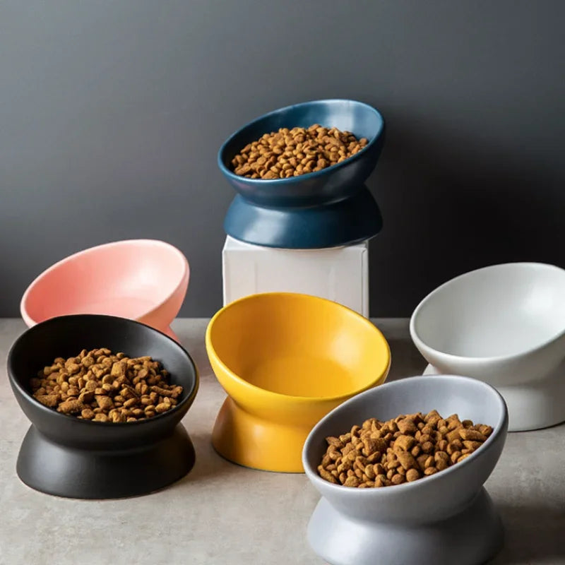 Ceramic Feeding Cat Bowl