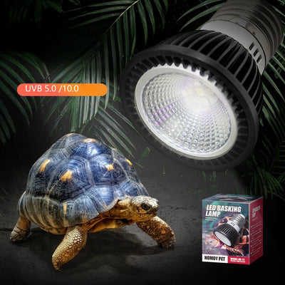 Energy Saving Reptile LED