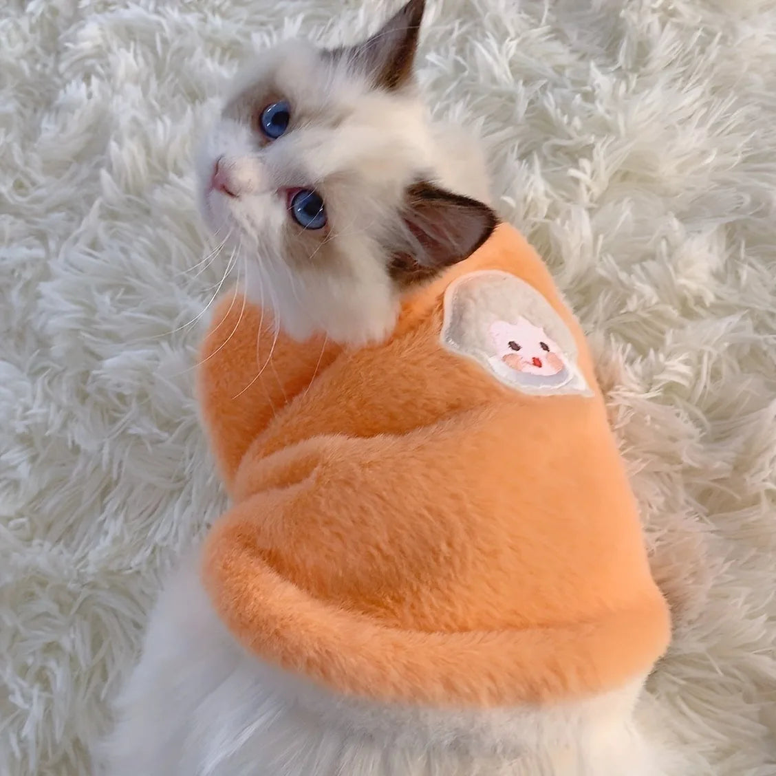 Winter Clothes for Cats