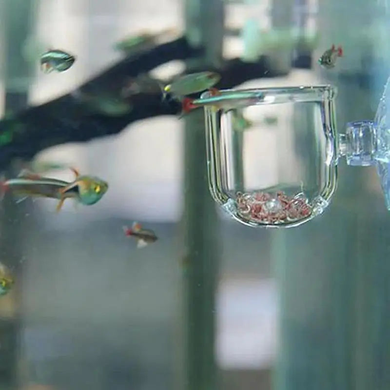SuctionLeaf Aquarium Cup