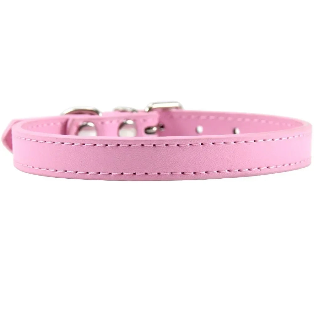 Color Splash Cat Collar