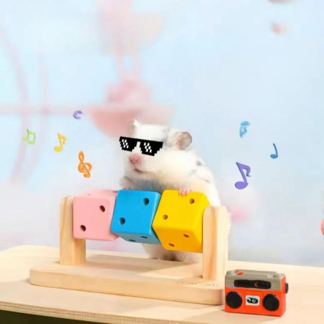 Fun Rubik's Cube Hamster Toy