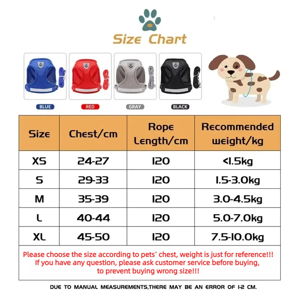 Cat Harness & Leash Set