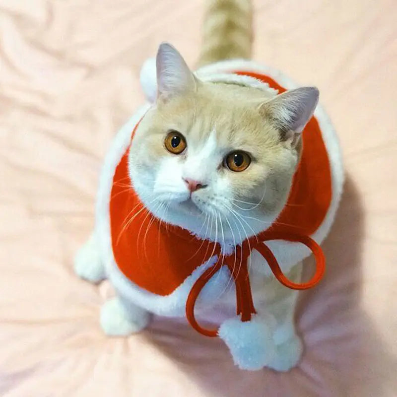 Santa Cat Outfit Costume