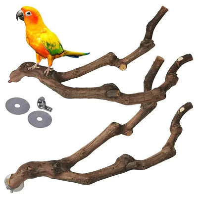 Parrot Claw Grind Toy