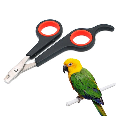 Pet Bird Parrot Small Animal Grooming Tool