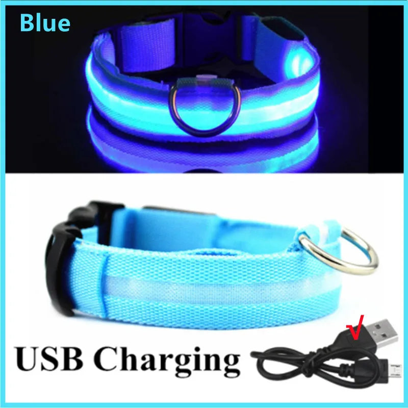 USB Rechargeable LED Collar