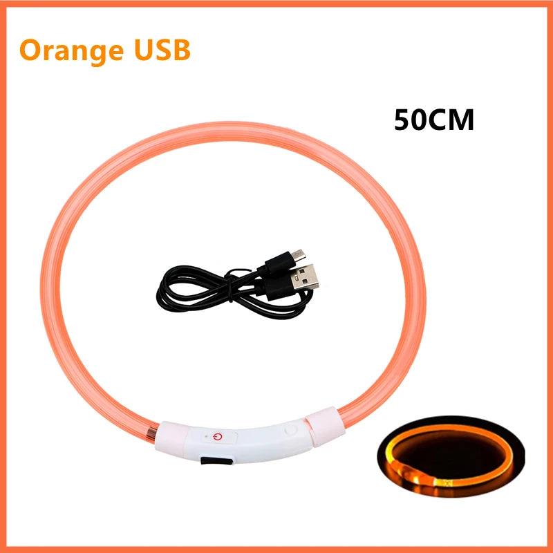 USB Rechargeable LED Collar