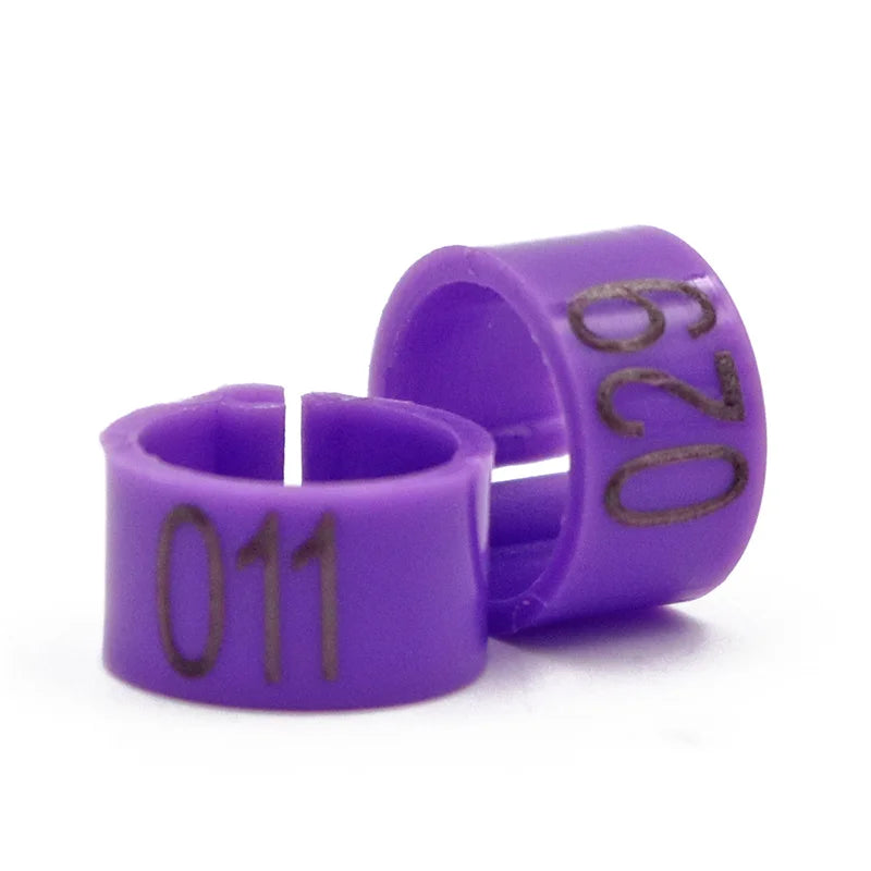 Colorful Foot Rings with Text