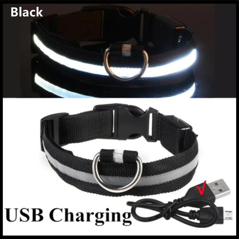 USB Rechargeable LED Collar