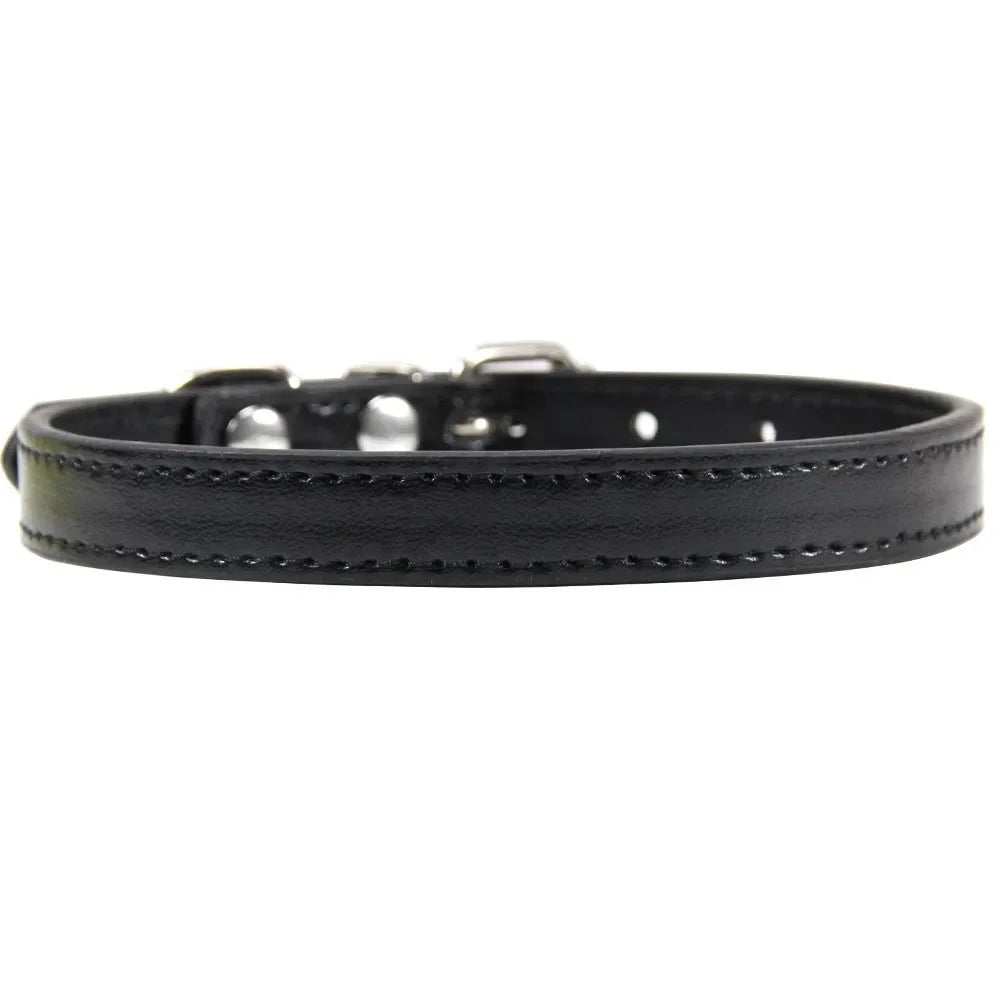 Color Splash Cat Collar
