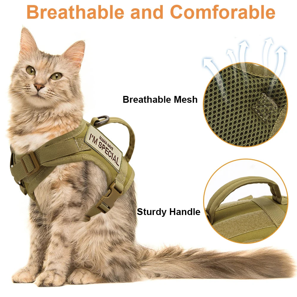 Tactical Cat Harness