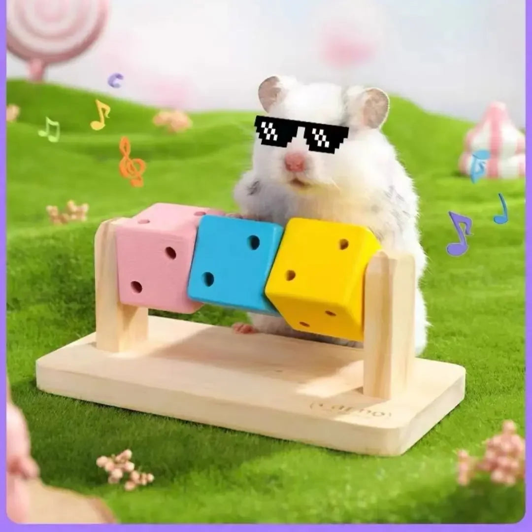 Fun Rubik's Cube Hamster Toy