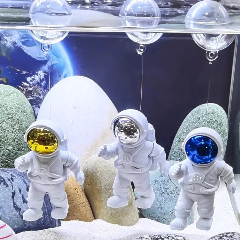 Aquarium Ornaments