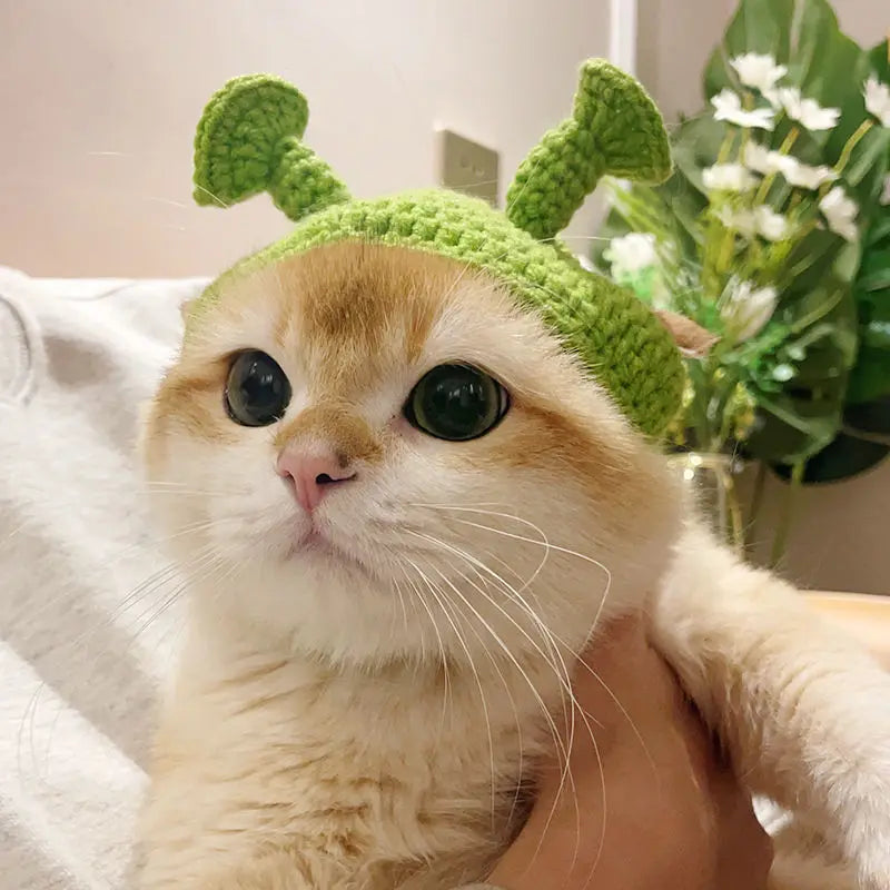 Cute Refined Cat Hat