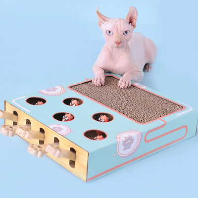 Interactive Cat Game Box