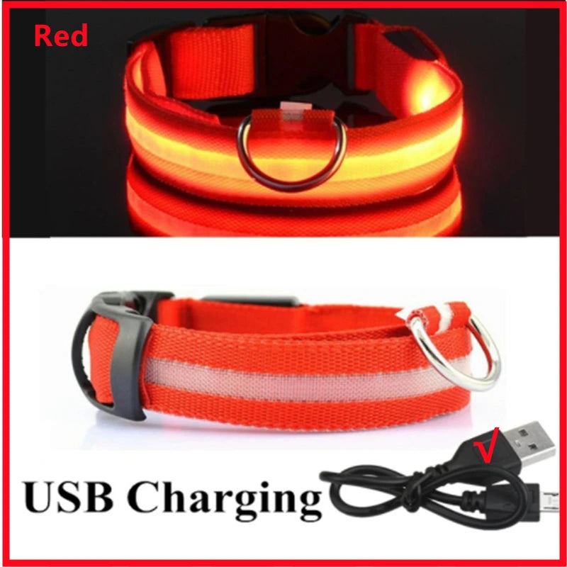 USB Rechargeable LED Collar