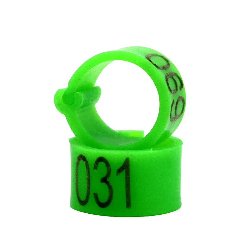 Colorful Foot Rings with Text