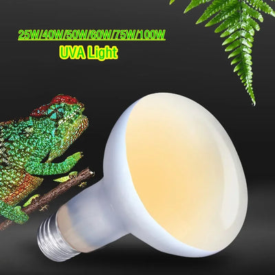 Reptile Heat Lamp Bulb