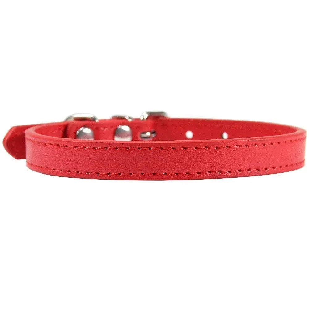 Color Splash Cat Collar