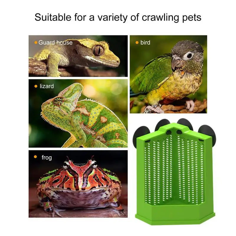 Suction Cup Reptile Feeder