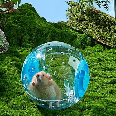 Transparent Hamster Ball