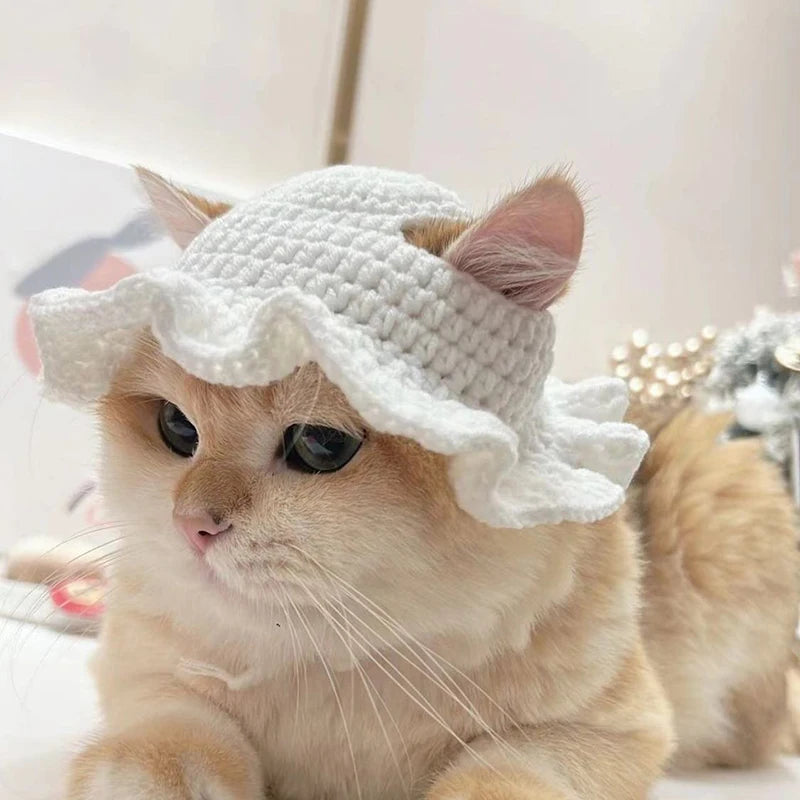 Cute Refined Cat Hat