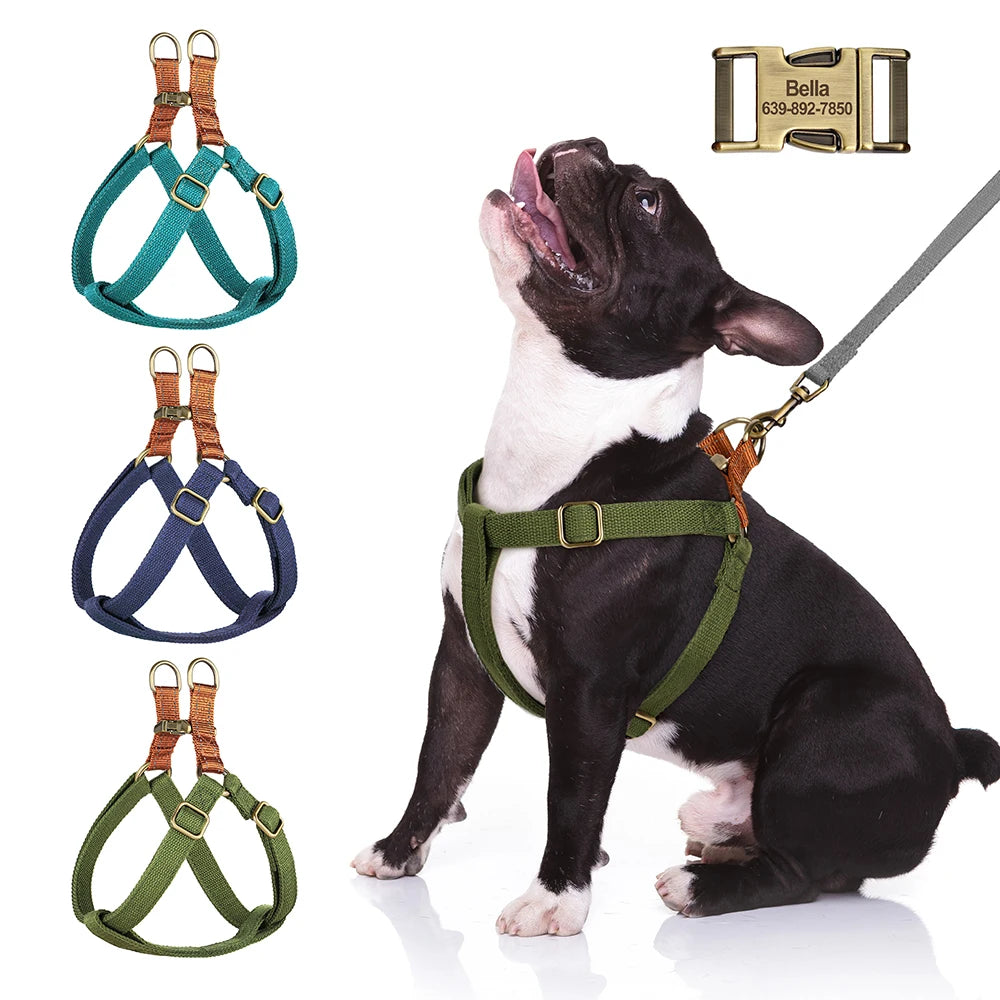 Vivid Paws Custom Harness