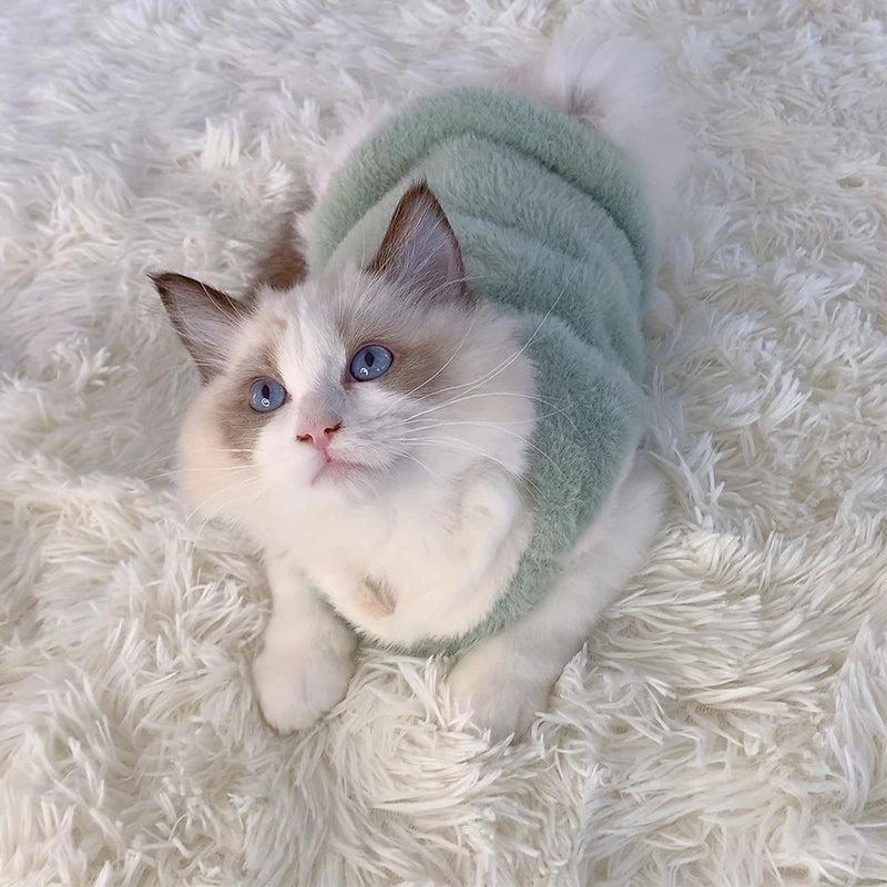Winter Clothes for Cats