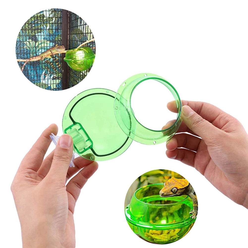 Reptile Suction Cup Feeder