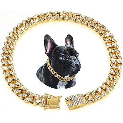 Luxury Gold Dog Chain Collar