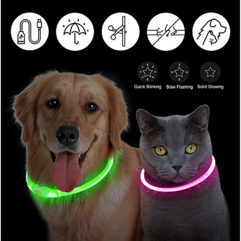 USB Rechargeable LED Collar